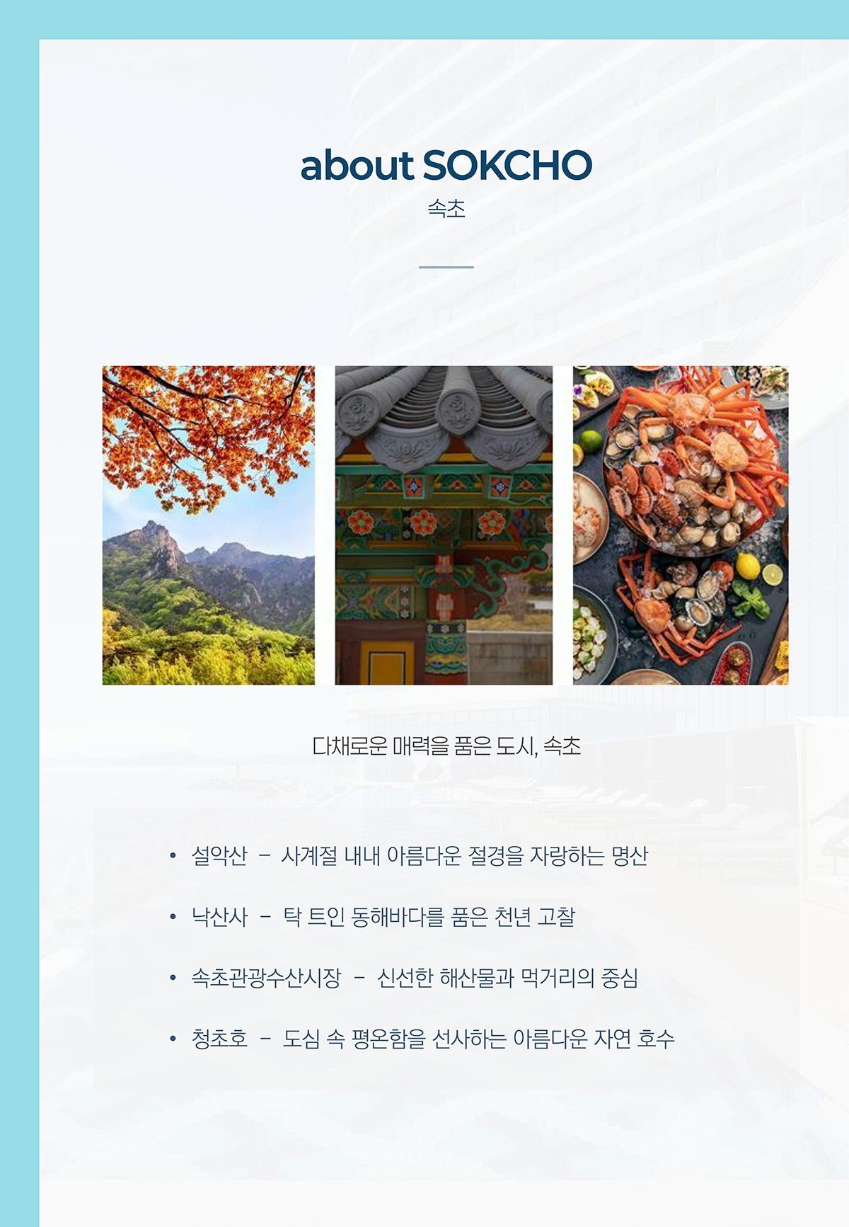 반얀그룹 & 카시아