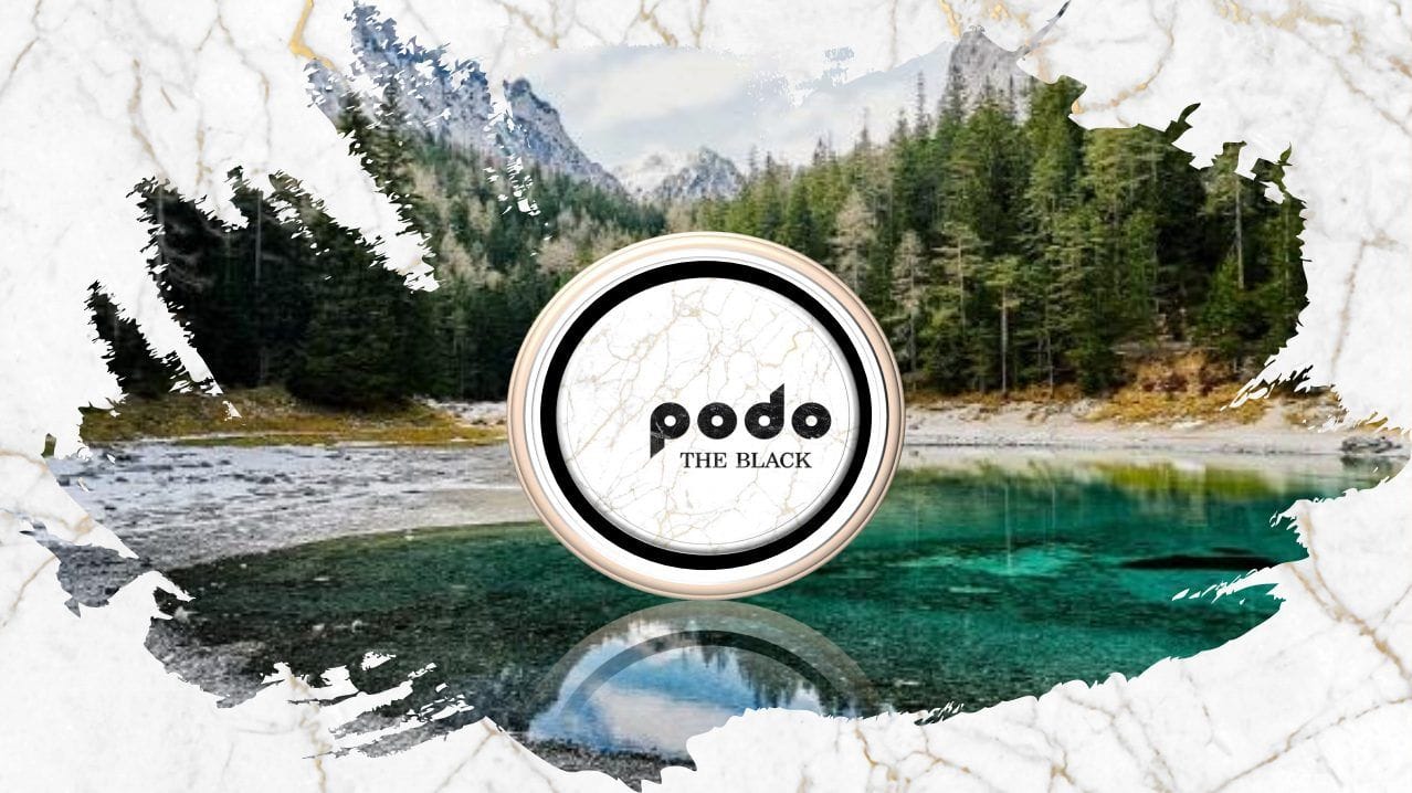 PODO THE BLACK 브랜드